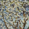 Forever Spring